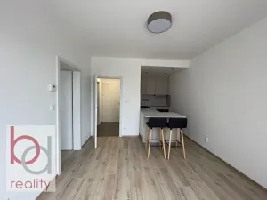 Pronájem bytu 2+kk, České Budějovice, J. Š. Baara, 40 m2