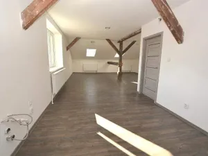 Prodej bytu 6+kk a větší, Frýdek-Místek, 347 m2