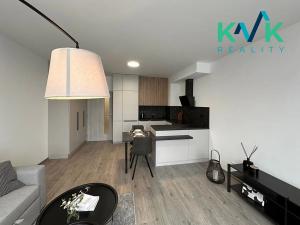 Pronájem bytu 2+kk, Ostrov, Lidická, 49 m2