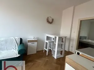 Pronájem bytu 1+1, České Budějovice, Lidická tř., 48 m2