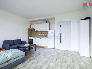 Pronájem bytu 1+kk, Klatovy - Klatovy IV, Suvorovova, 31 m2