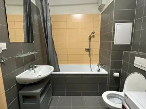 Pronájem bytu 2+kk, Plzeň, Poděbradova, 58 m2