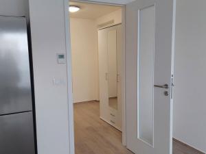 Pronájem bytu 1+kk, Brno - Horní Heršpice, Jižní, 42 m2