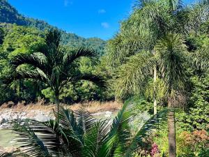 Prodej rodinného domu, La Ceiba, Honduras, 4080 m2