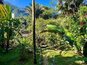 Prodej rodinného domu, La Ceiba, Honduras, 4080 m2