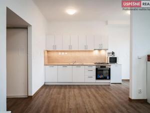 Prodej bytu 1+kk, Praha - Žižkov, Malešická, 47 m2