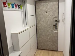 Pronájem bytu 3+kk, Praha - Žižkov, Žerotínova, 60 m2