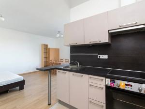 Pronájem bytu 1+kk, Praha - Bubeneč, Jednořadá, 41 m2