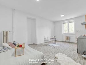 Pronájem bytu 2+kk, Ostrava, Alšovo náměstí, 51 m2