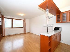 Pronájem bytu 2+kk, Praha - Žižkov, Kališnická, 49 m2