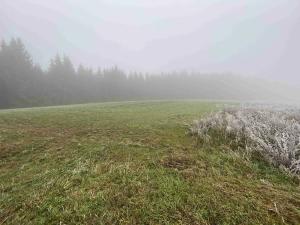 Dražba louky, Stará Paka, 44606 m2