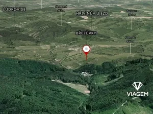 Prodej lesa, Březůvky, 1632 m2