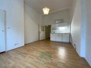 Pronájem bytu 1+kk, Praha - Holešovice, Dělnická, 24 m2