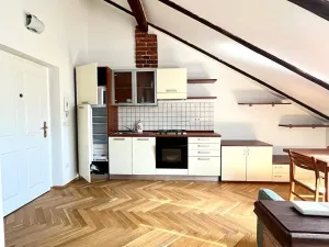 Pronájem bytu 1+kk, Praha - Smíchov, Plzeňská, 47 m2