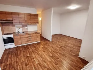 Pronájem bytu 2+kk, Litoměřice, Revoluční, 42 m2