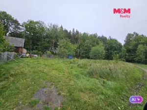 Prodej louky, Hynčina, 922 m2