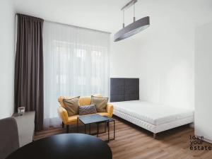 Pronájem bytu 1+kk, Praha - Strašnice, Petrovická, 23 m2