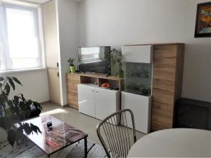 Pronájem bytu 1+kk, Zlín, Kúty, 30 m2