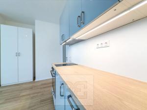 Pronájem bytu 1+kk, Praha - Holešovice, U průhonu, 42 m2