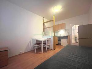 Pronájem bytu 1+kk, Praha - Strašnice, Srbínská, 25 m2