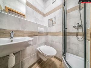 Pronájem bytu 1+kk, Ústí nad Labem, Čajkovského, 30 m2