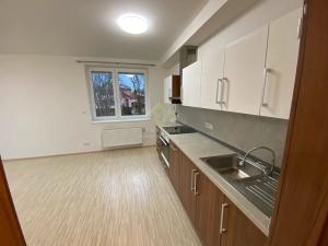 Pronájem bytu 2+kk, Plzeň, Halštatská, 55 m2