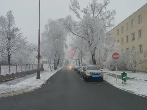 Pronájem bytu 2+1, Kolín, V Břízách, 57 m2