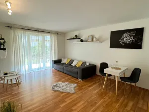 Prodej bytu 2+kk, Písek, Karla Boromejského, 90 m2