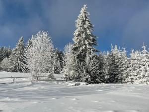 Prodej chaty, Hroznětín, 82 m2