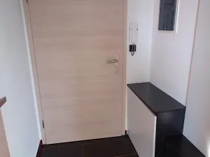 Pronájem bytu 1+kk, České Budějovice, Riegrova, 40 m2