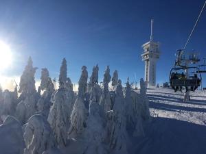 Prodej bytu 4+kk, Loučná pod Klínovcem, 92 m2