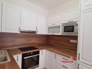 Pronájem bytu 2+kk, Praha - Holešovice, Argentinská, 63 m2