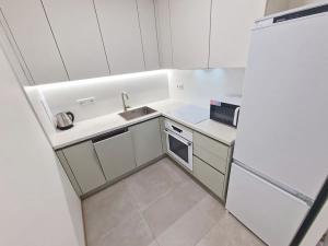 Pronájem bytu 2+kk, Praha - Žižkov, Basilejské náměstí, 46 m2