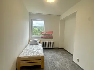 Pronájem bytu 3+kk, Lštění, Míru, 90 m2