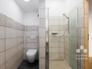 Pronájem bytu 3+kk, Praha - Smíchov, Radlická, 83 m2