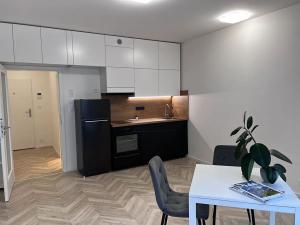 Pronájem bytu 1+kk, Brno, Cejl, 30 m2