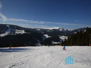 Prodej bytu 1+kk, Pec pod Sněžkou, 34 m2