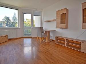 Pronájem bytu 1+kk, Praha - Hostivař, Hornoměcholupská, 22 m2