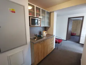 Prodej apartmánu, Praha - Nusle, Vladimírova, 537 m2