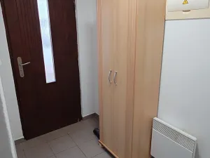 Pronájem bytu 1+kk, Kamenný Újezd, 24 m2