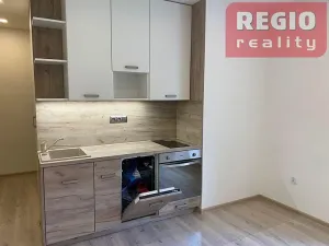 Pronájem bytu 2+kk, Ostrava, Senovážná, 45 m2