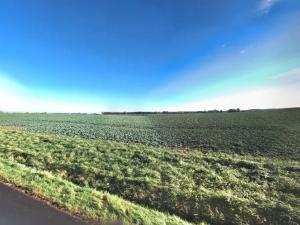 Prodej pole, Kostelec nad Černými lesy, 5059 m2