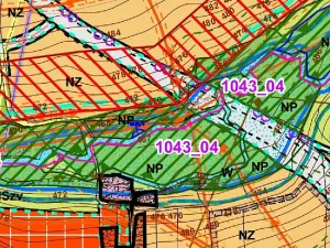 Dražba louky, Tachov, 22995 m2