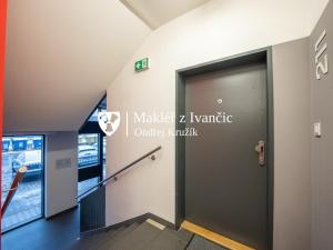 Pronájem bytu 1+kk, Brno - Ponava, U Červeného mlýna, 46 m2