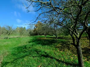 Prodej rodinného domu, Vlčnov, 75 m2