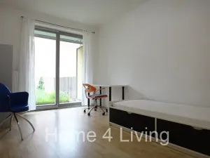 Pronájem bytu 3+kk, Brno, Leitnerova, 140 m2