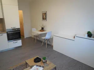 Pronájem bytu 1+kk, Zlín, 26 m2