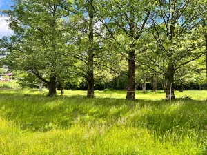 Prodej pozemku pro bydlení, Nové Město pod Smrkem, 1330 m2