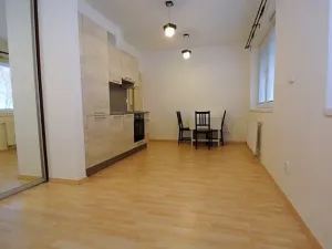 Pronájem bytu 1+kk, Praha - Bubeneč, Jednořadá, 30 m2