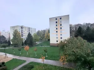 Pronájem bytu 1+1, Ústí nad Labem, Peškova, 37 m2